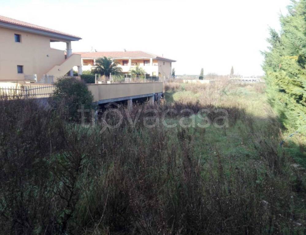 immagine annuncio 5 di 11