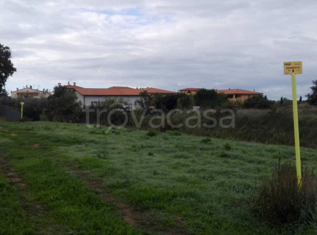 immagine annuncio 6 di 11