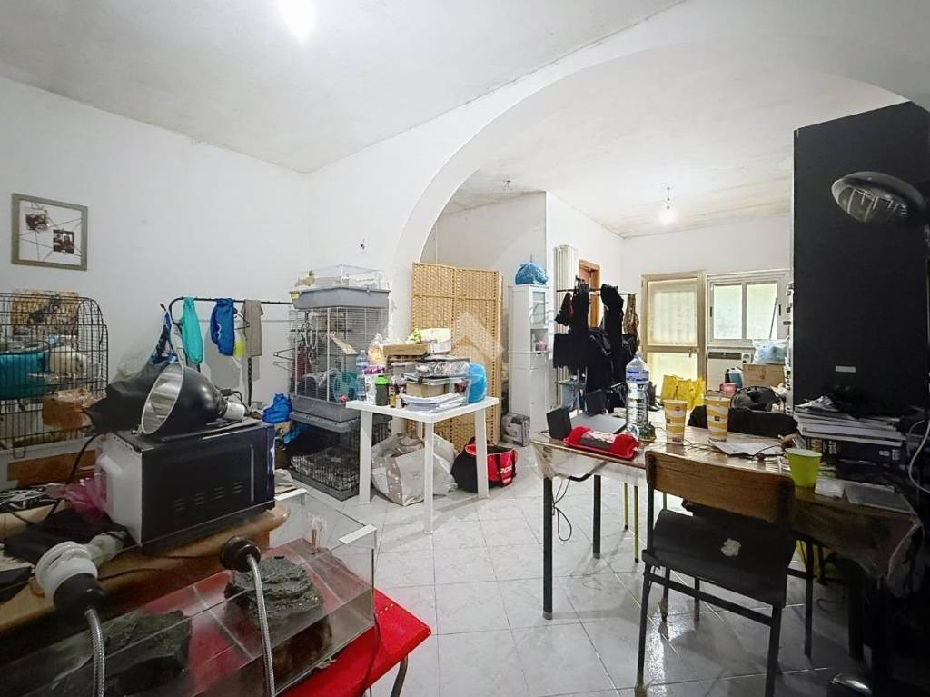 immagine annuncio 3 di 12