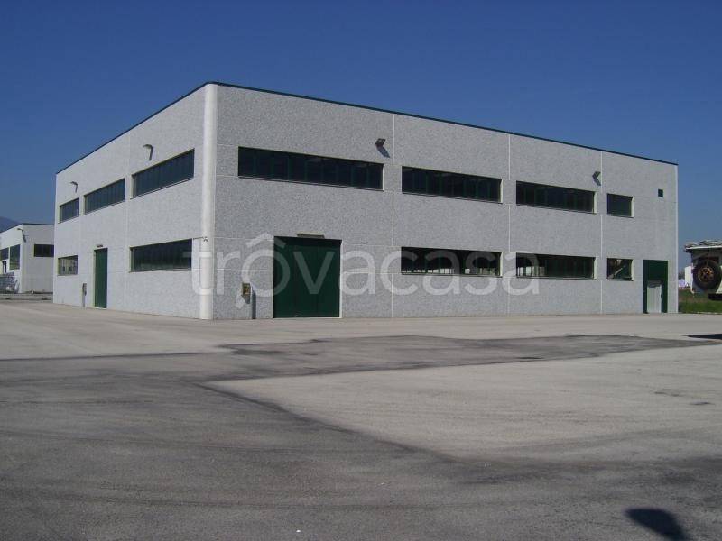 immagine annuncio 5 di 6