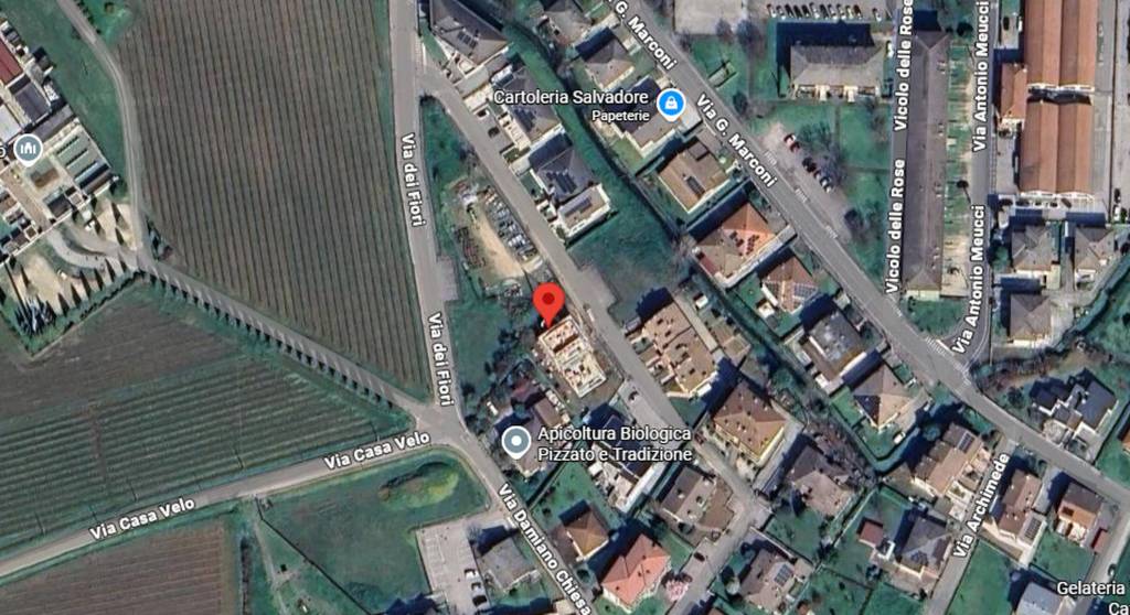 immagine annuncio 9 di 11