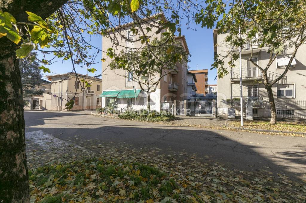 immagine annuncio 1 di 7