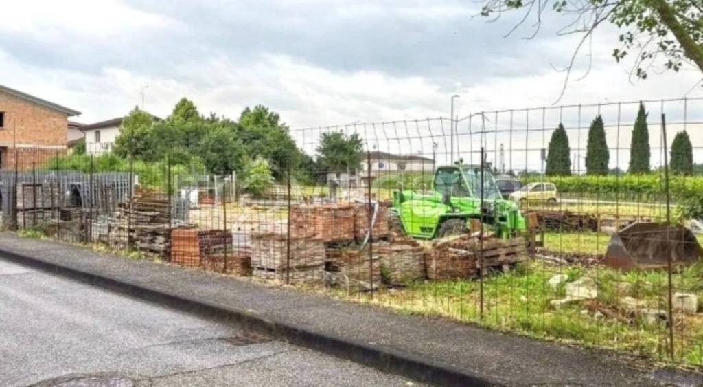 immagine annuncio 2 di 12