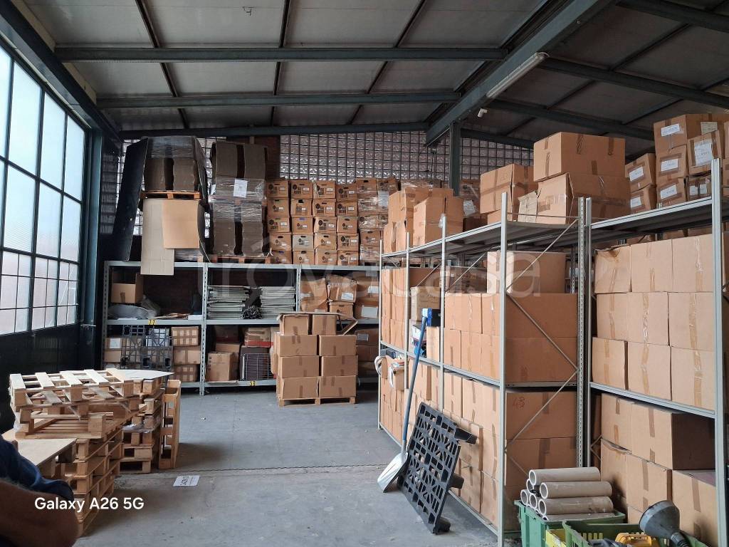 immagine annuncio 6 di 15