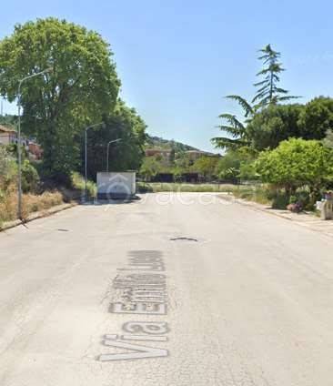 immagine annuncio 3 di 8