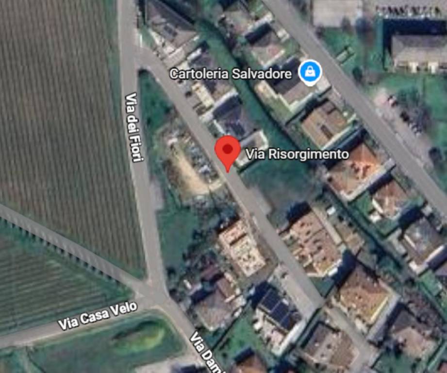 immagine annuncio 11 di 12