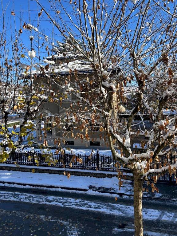 immagine annuncio 7 di 8