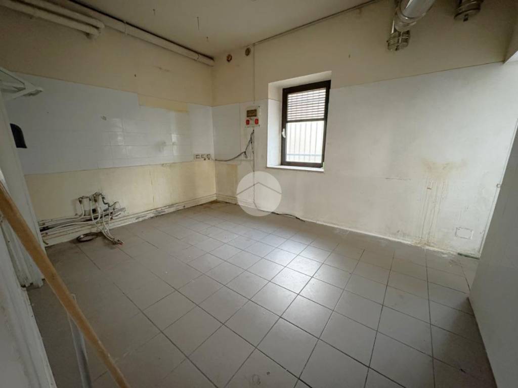 immagine annuncio 9 di 14