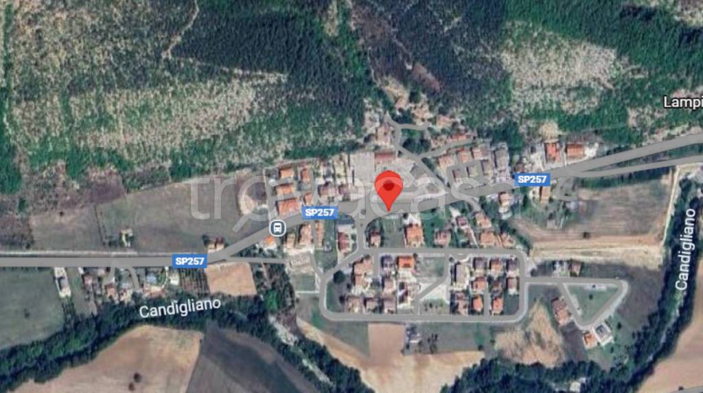 immagine annuncio 5 di 11