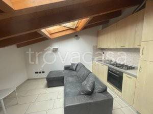 immagine annuncio 2 di 14