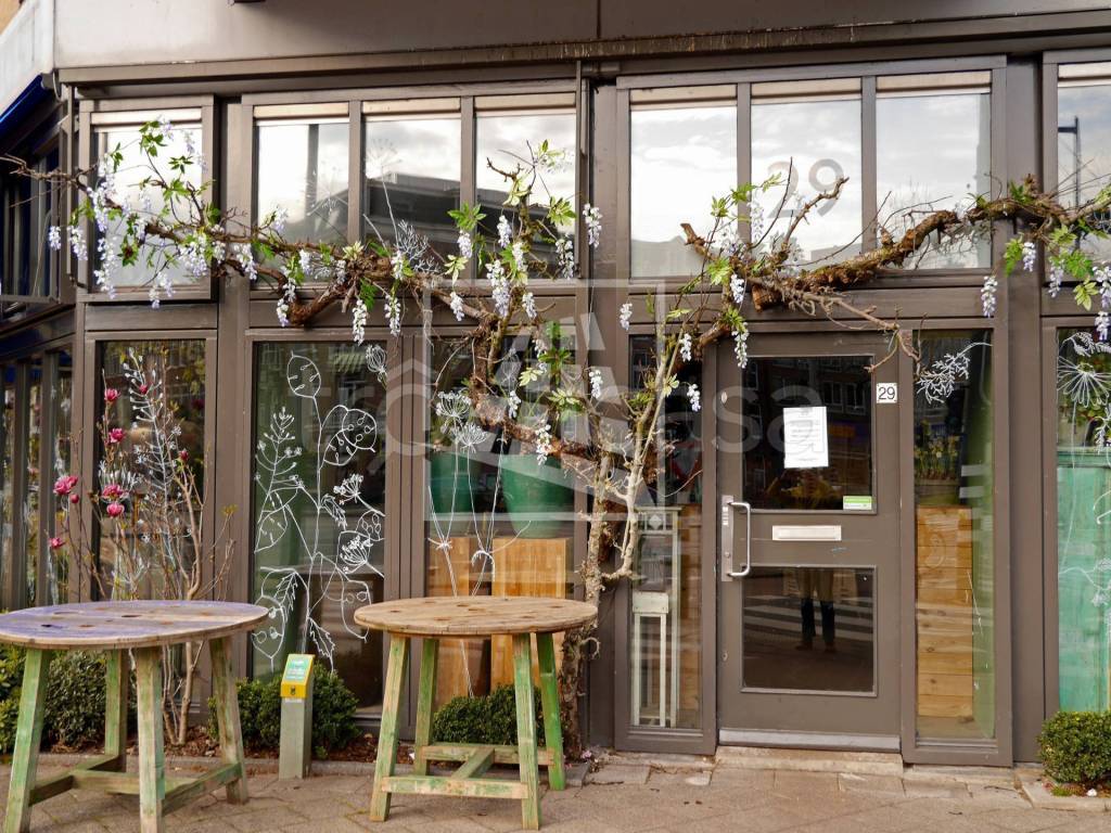 immagine annuncio 9 di 14