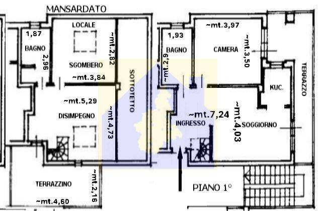 immagine annuncio 3 di 15