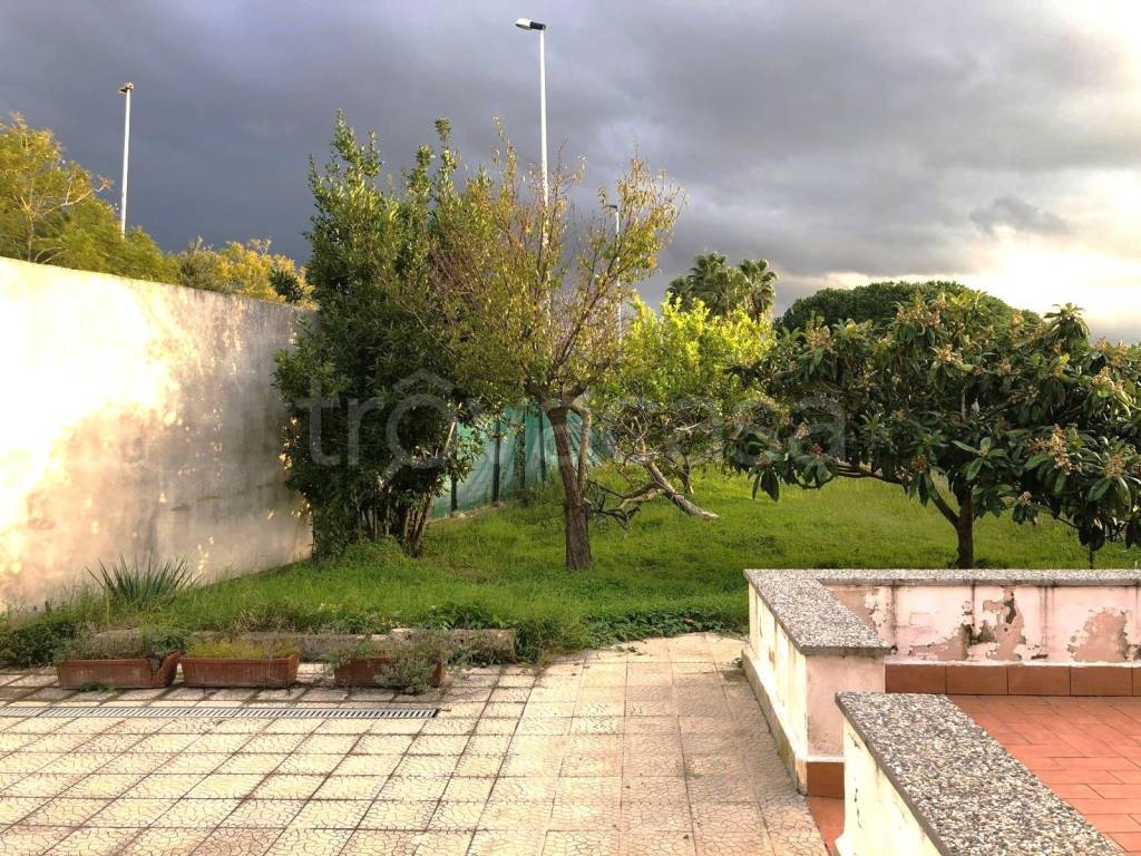 immagine annuncio 4 di 14