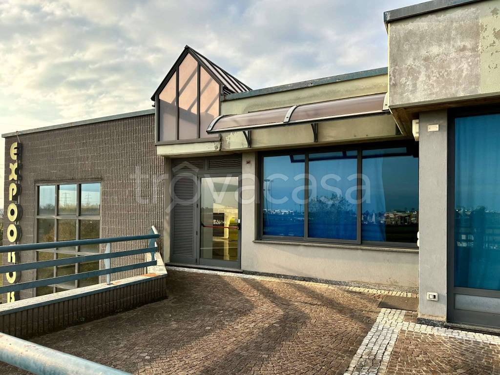 immagine annuncio 12 di 14