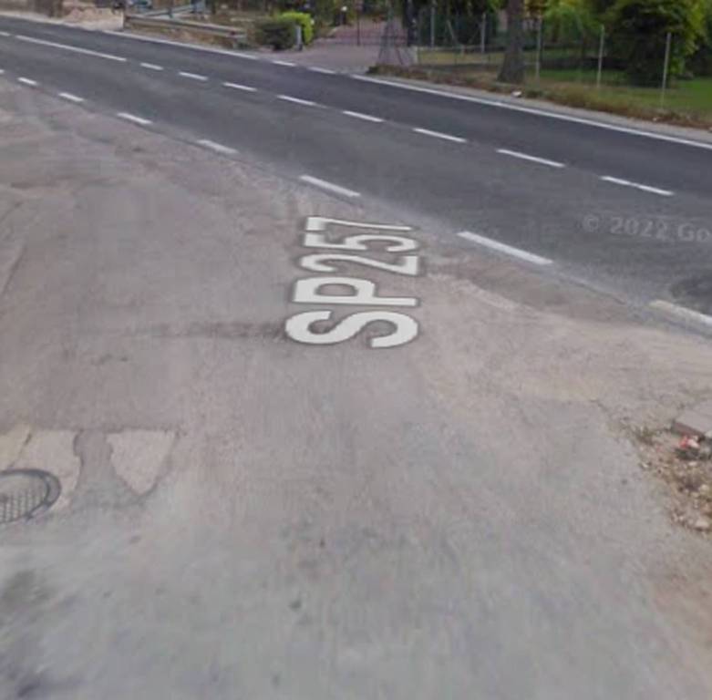 immagine annuncio 3 di 12