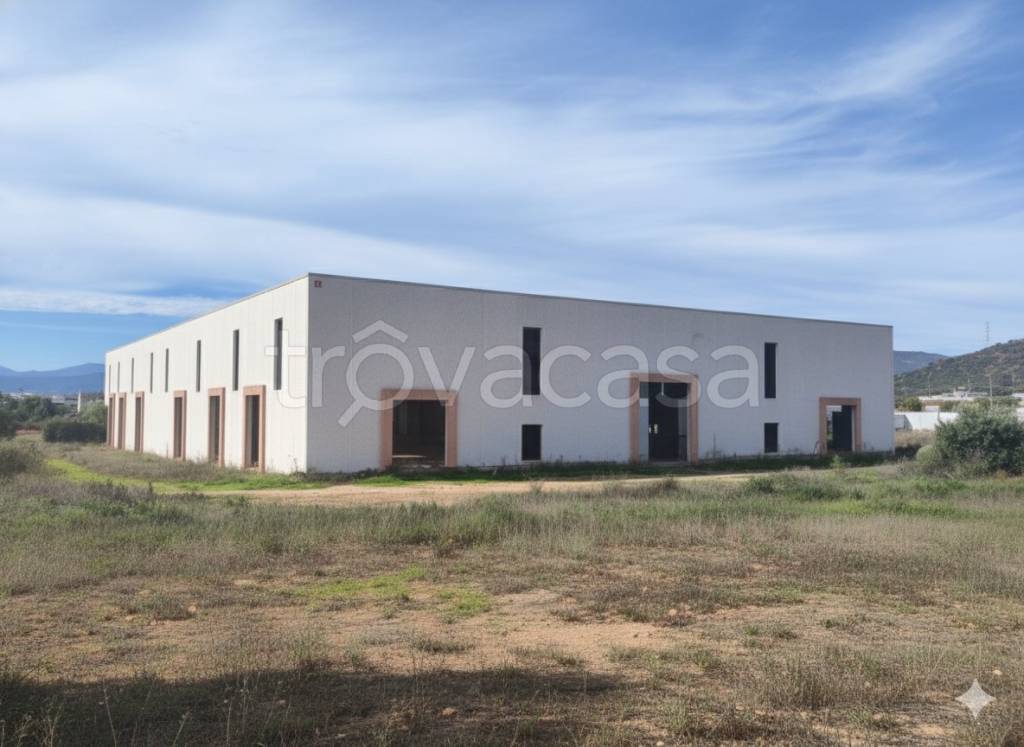 immagine annuncio 1 di 8