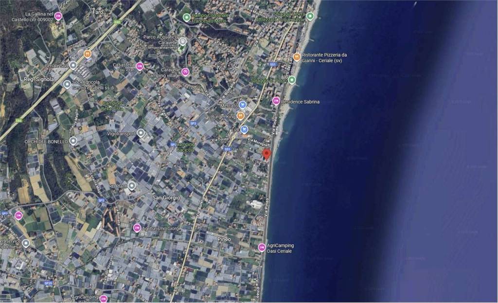 immagine annuncio 5 di 15