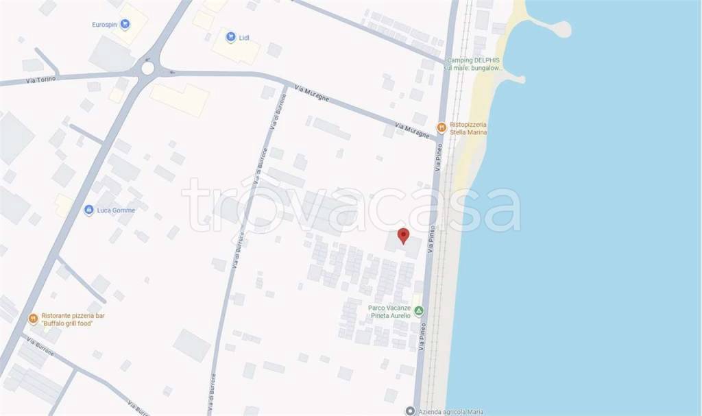 immagine annuncio 7 di 15