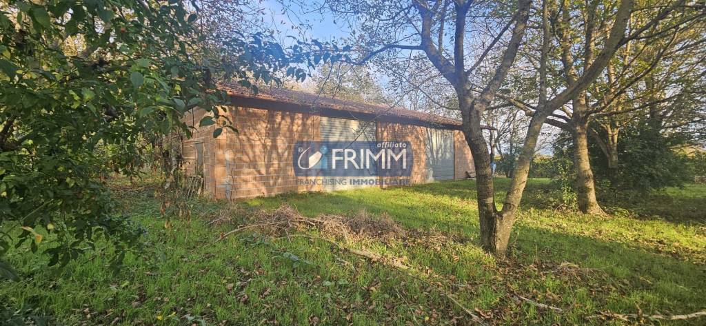 immagine annuncio 2 di 8