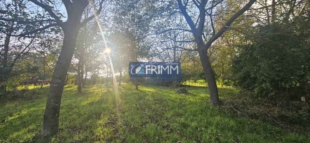 immagine annuncio 4 di 8