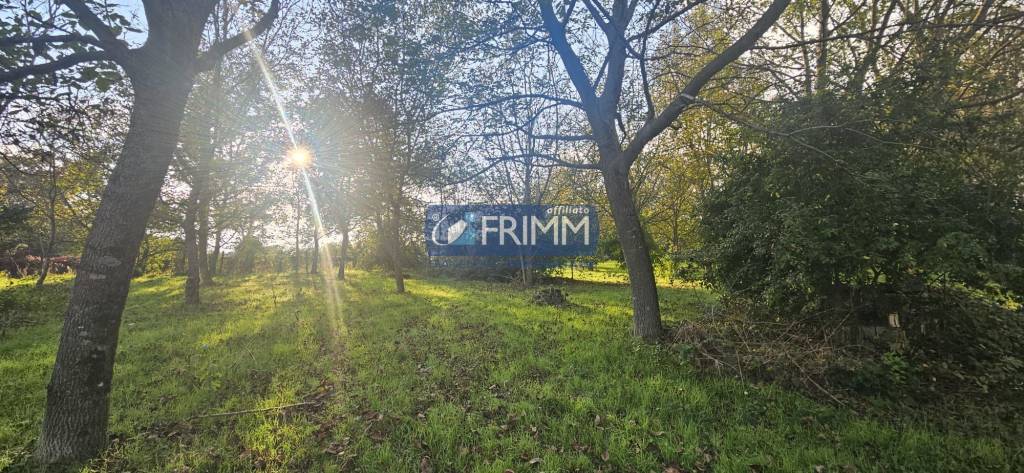 immagine annuncio 5 di 8