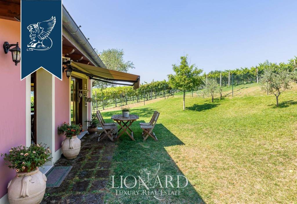 immagine annuncio 11 di 15