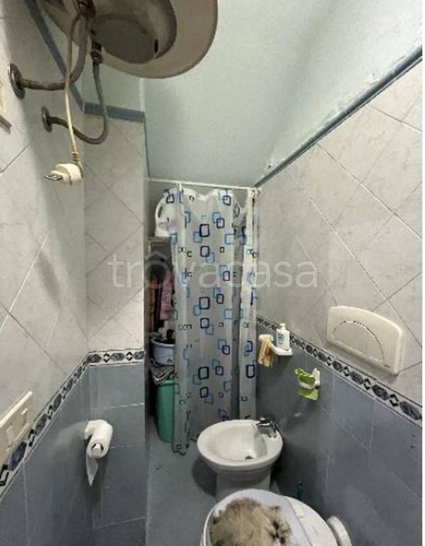 immagine annuncio 6 di 12