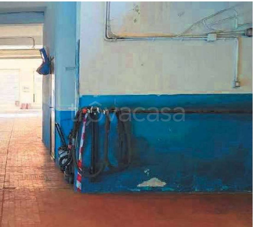 immagine annuncio 4 di 12