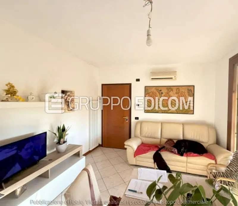 immagine annuncio 1 di 6