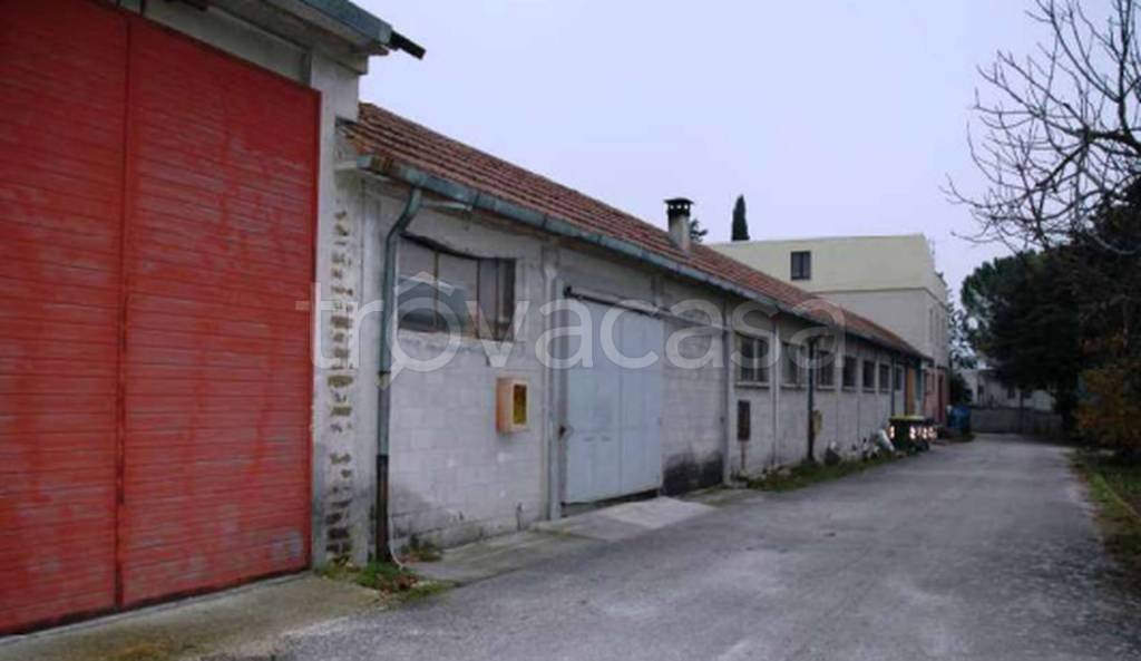 immagine annuncio 3 di 9