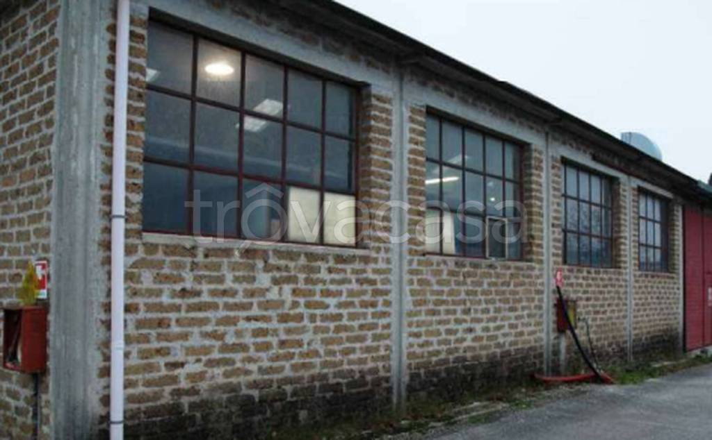 immagine annuncio 4 di 9