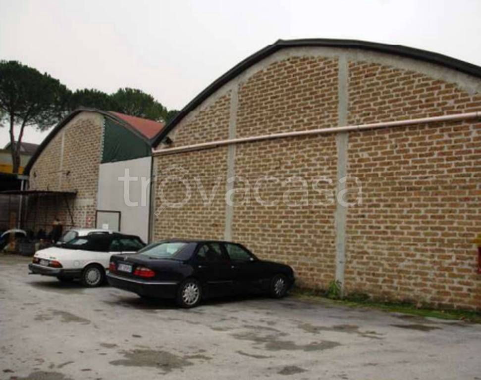 immagine annuncio 5 di 9