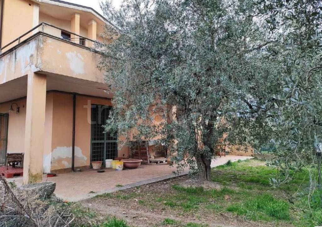 immagine annuncio 2 di 14