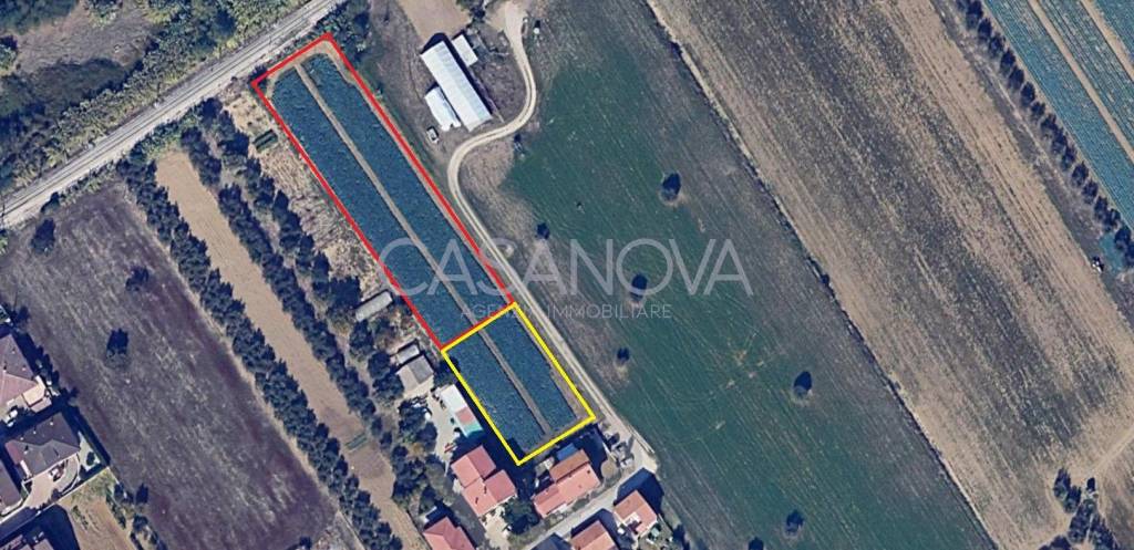 immagine annuncio 5 di 6