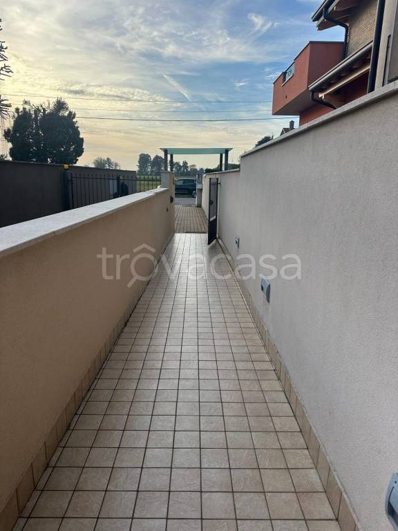 immagine annuncio 12 di 14