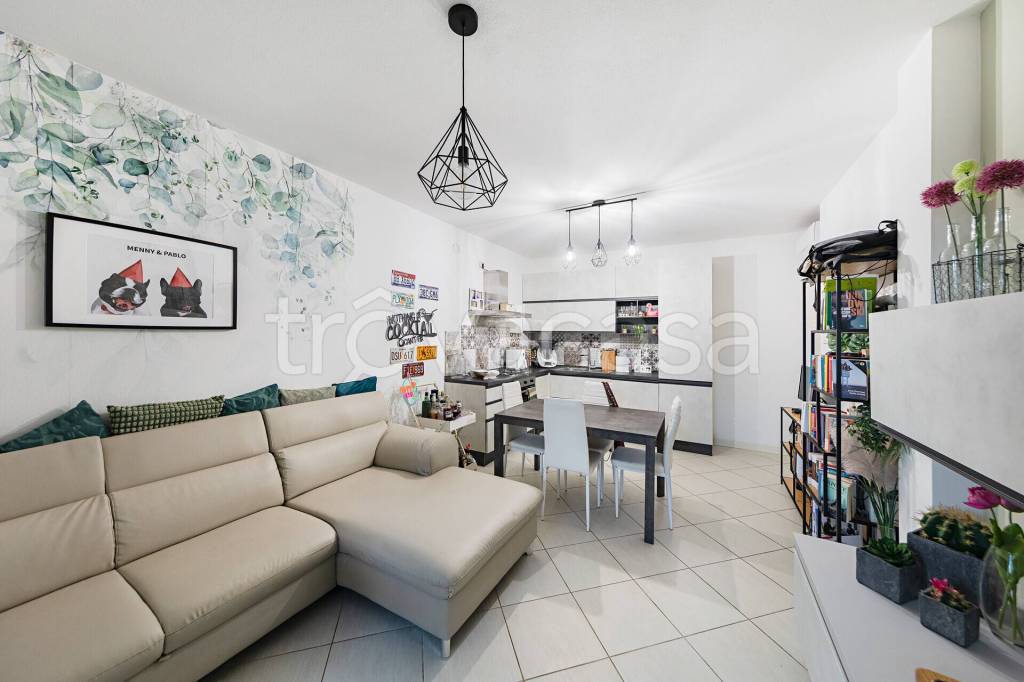 immagine annuncio 4 di 15