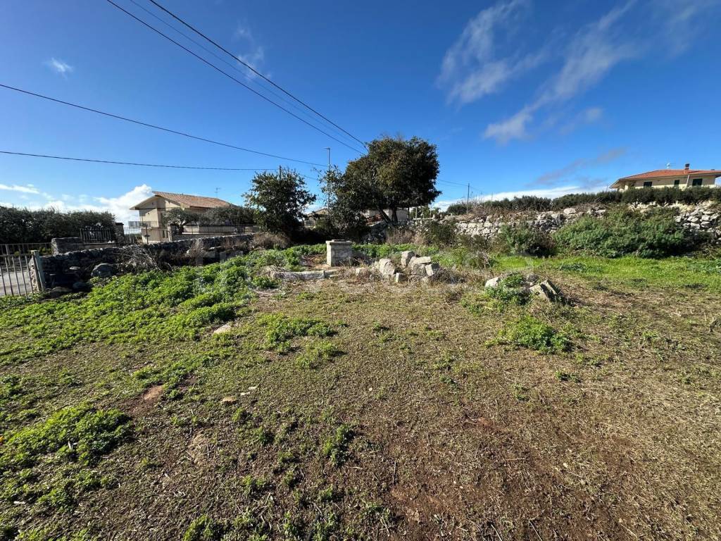 immagine annuncio 5 di 8