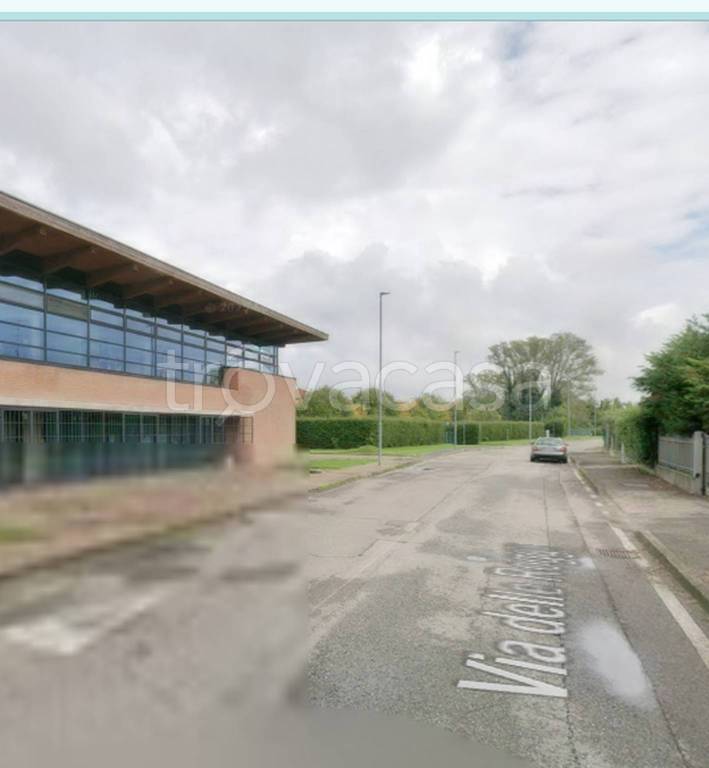 immagine annuncio 3 di 11