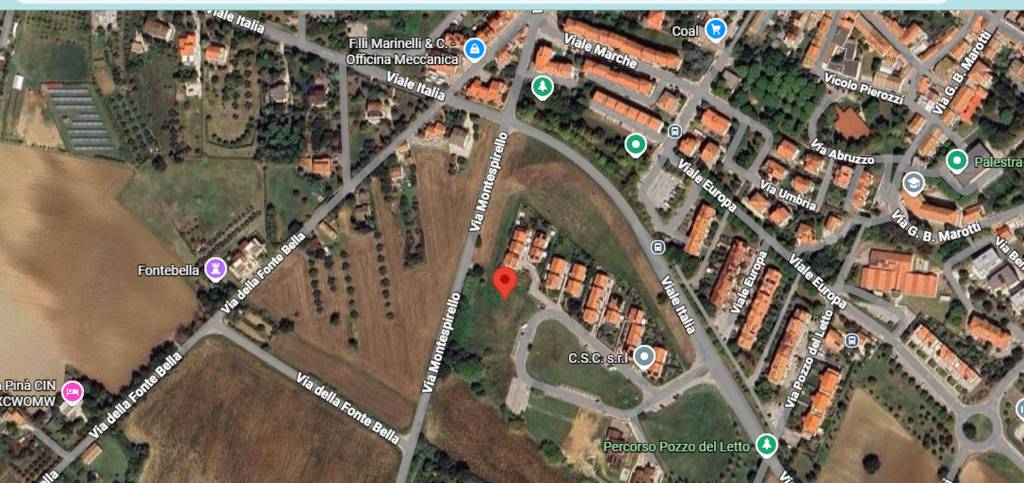 immagine annuncio 1 di 11