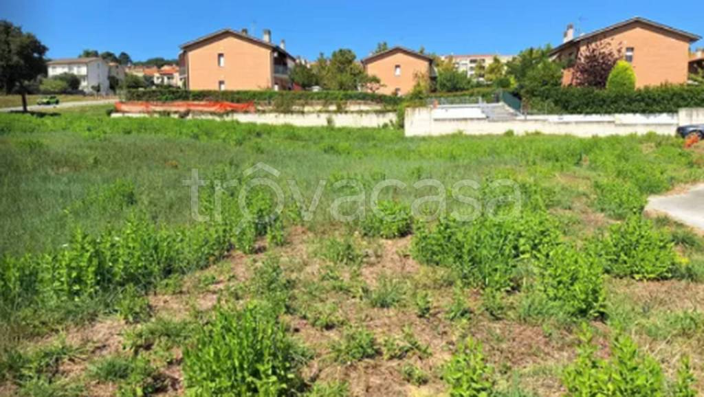 immagine annuncio 10 di 11