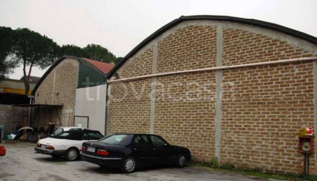 immagine annuncio 3 di 9