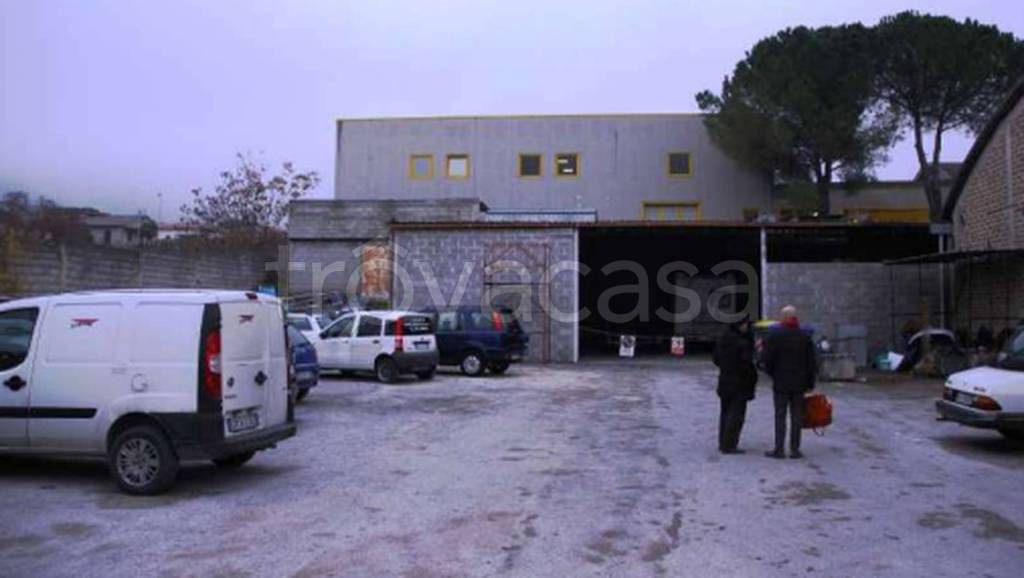 immagine annuncio 5 di 9