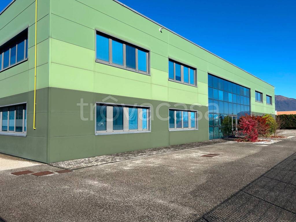 immagine annuncio 1 di 14