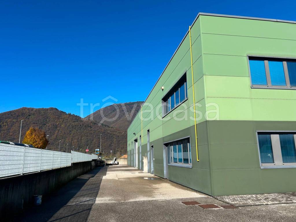 immagine annuncio 2 di 14