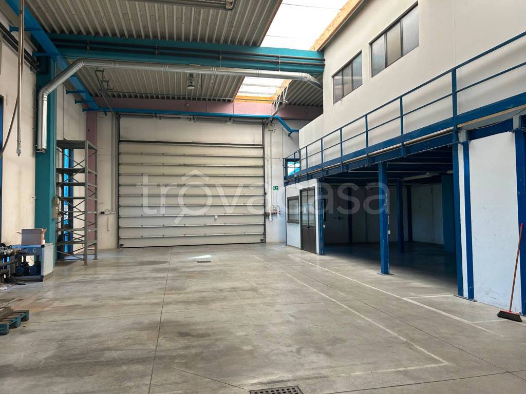 immagine annuncio 4 di 14