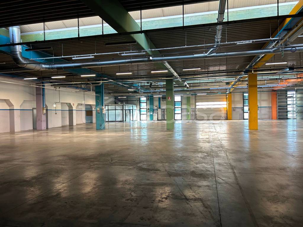 immagine annuncio 5 di 14