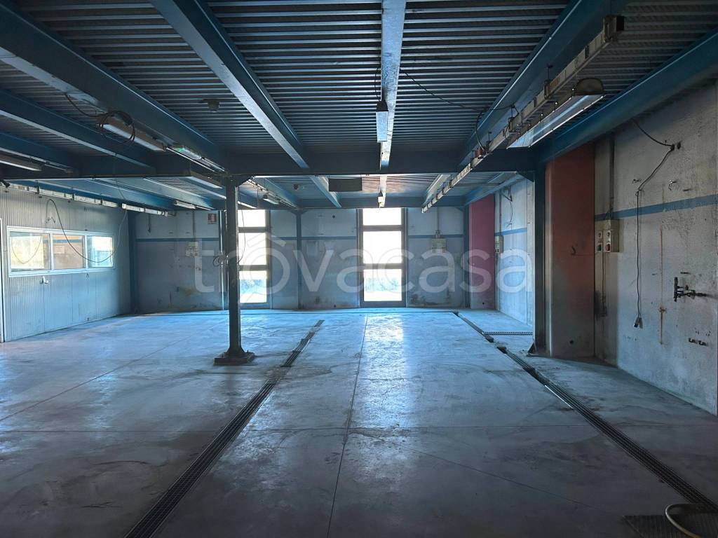 immagine annuncio 6 di 14