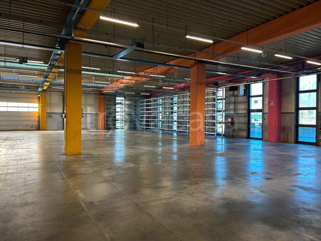 immagine annuncio 7 di 14