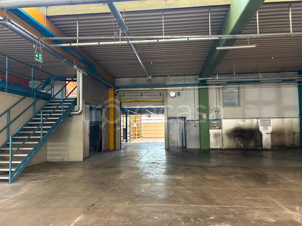 immagine annuncio 9 di 14