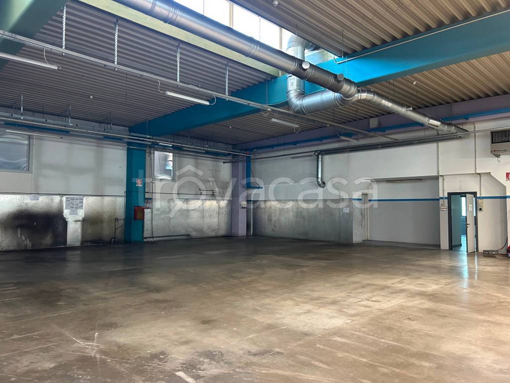 immagine annuncio 10 di 14